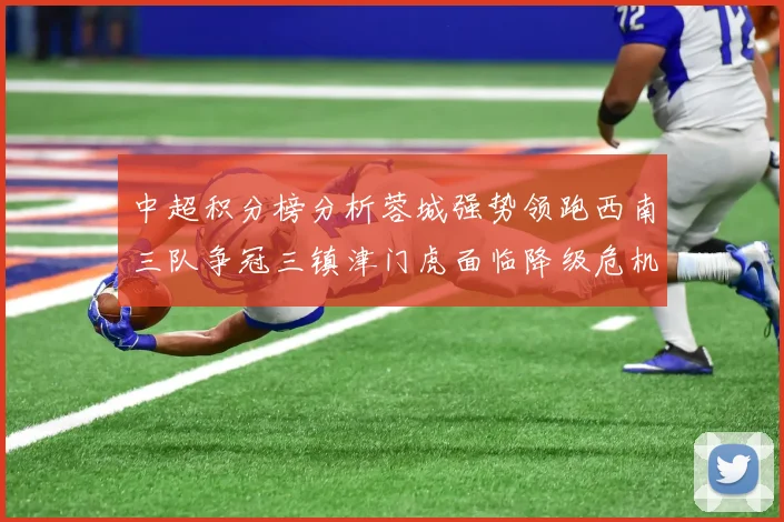 中超积分榜分析蓉城强势领跑西南三队争冠三镇津门虎面临降级危机