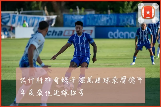 武什科维奇蝎子摆尾进球荣膺德甲年度最佳进球称号