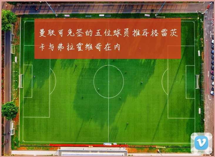 曼联可免签的五位球员推荐格雷茨卡与弗拉霍维奇在内