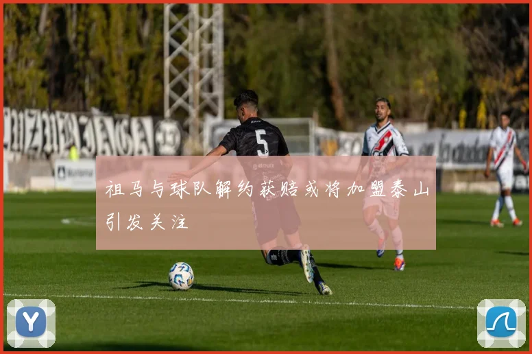 祖马与球队解约获赔或将加盟泰山引发关注