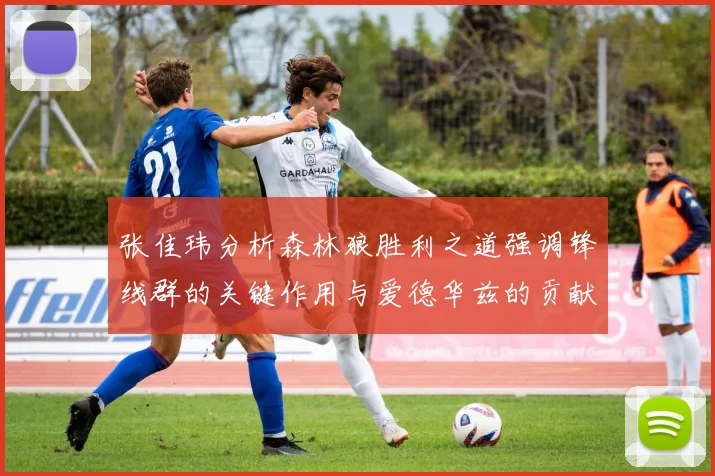 张佳玮分析森林狼胜利之道强调锋线群的关键作用与爱德华兹的贡献